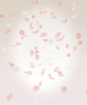 Alternative view of 無料 遺影背景HF008