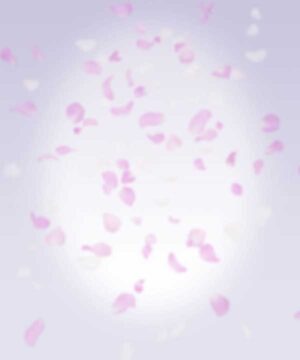 Alternative view of 無料 遺影背景HF009