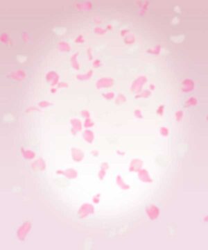 Alternative view of 無料 遺影背景HF010