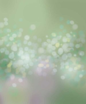 Alternative view of 無料 遺影背景HF019