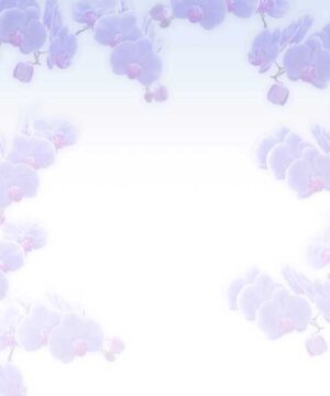 Alternative view of 無料 遺影背景HF022