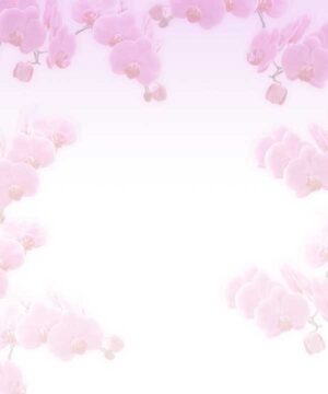 Alternative view of 無料 遺影背景HF023