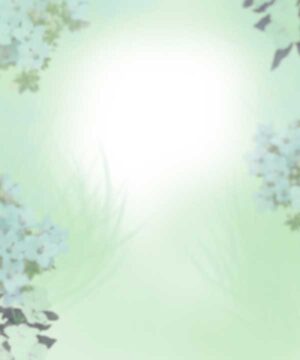 Alternative view of 無料 遺影背景HF029