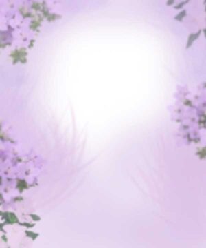 Alternative view of 無料 遺影背景HF030