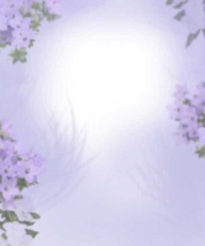 Alternative view of 無料 遺影背景HF031