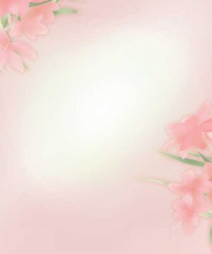 Alternative view of 無料 遺影背景HF033