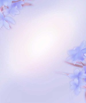 Alternative view of 無料 遺影背景HF034