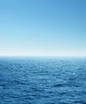 Alternative view of 無料 遺影背景HF037