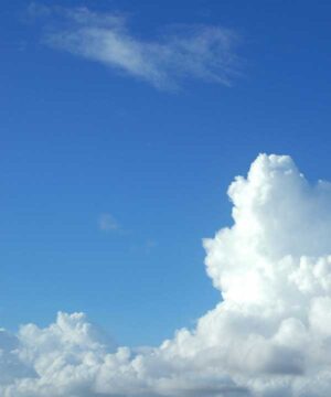 Alternative view of 無料 遺影背景HF038