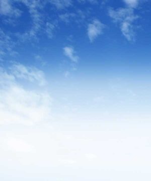 Alternative view of 無料 遺影背景HF040