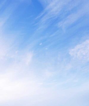 Alternative view of 無料 遺影背景HF041