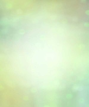 Alternative view of 無料 遺影背景HF043