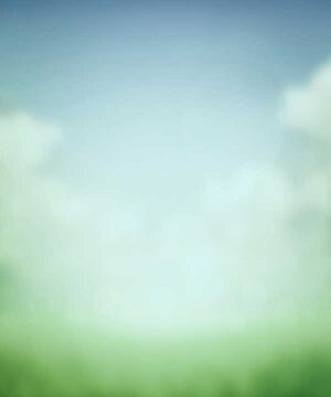 Alternative view of 無料 遺影背景HF045