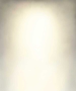 Alternative view of 無料 遺影背景HF052