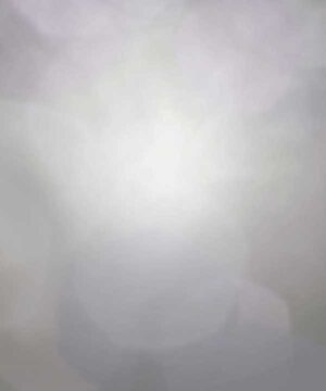 Alternative view of 無料 遺影背景HF055