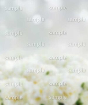 Alternative view of 遺影背景 H003