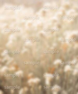 Alternative view of 遺影背景 H004