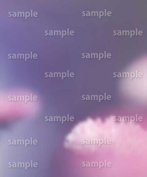 Alternative view of 遺影背景 H011