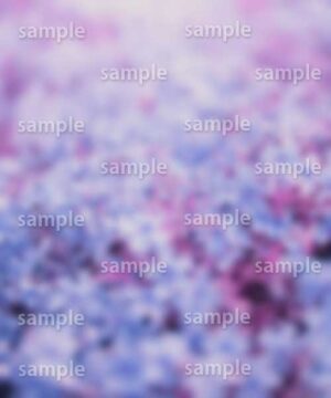 Alternative view of 遺影背景 H012