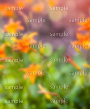 Alternative view of 遺影背景 H018