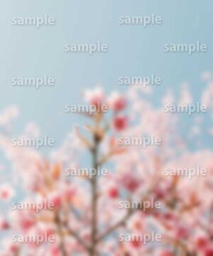 Alternative view of 遺影背景 H027