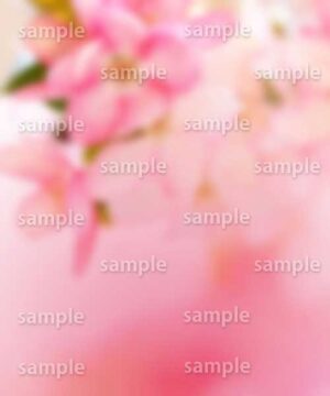 Alternative view of 遺影背景 H036