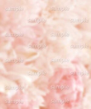 Alternative view of 遺影背景 H037