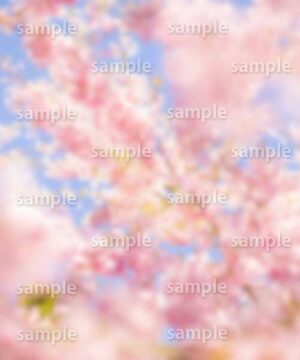 Alternative view of 遺影背景 H038