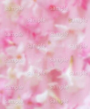 Alternative view of 遺影背景 H039