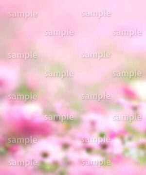 Alternative view of 遺影背景 H040