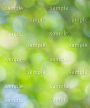 Alternative view of 遺影背景 H052