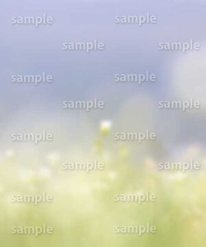 Alternative view of 遺影背景 H053