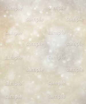 Alternative view of 遺影背景 H059