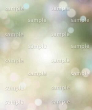 Alternative view of 遺影背景 H060