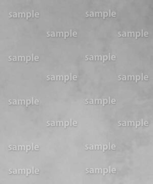 Alternative view of 遺影背景 H062