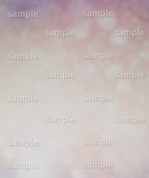 Alternative view of 遺影背景 H063