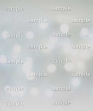 Alternative view of 遺影背景 H064