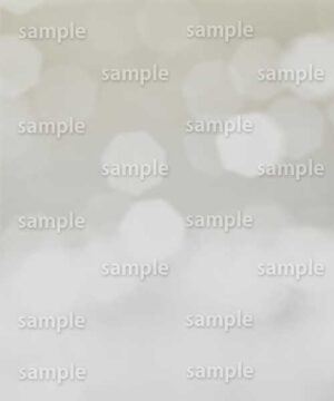 Alternative view of 遺影背景 H065