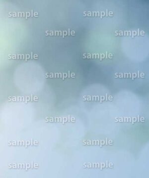 Alternative view of 遺影背景 H066