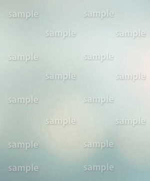 Alternative view of 遺影背景 H068