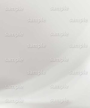 Alternative view of 遺影背景 H069