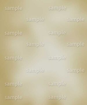 Alternative view of 遺影背景 H070