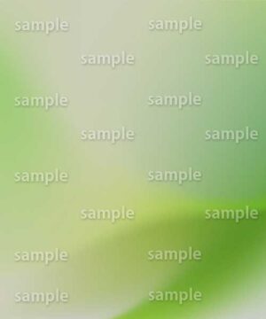 Alternative view of 遺影背景 H075