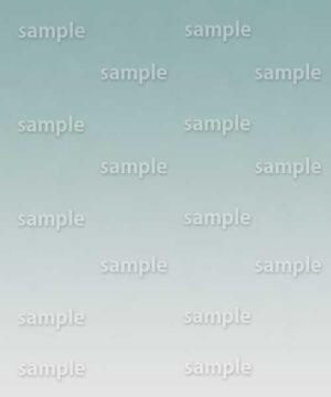 Alternative view of 遺影背景 H084