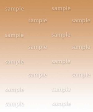 Alternative view of 遺影背景 H086