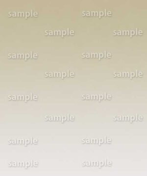 Alternative view of 遺影背景 H087