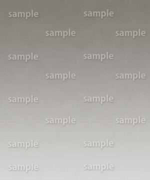 Alternative view of 遺影背景 H088