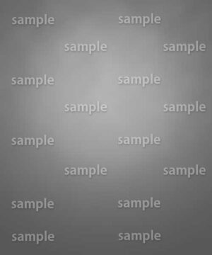 Alternative view of 遺影背景 H091