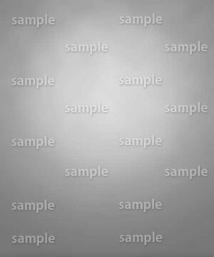 Alternative view of 遺影背景 H092