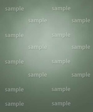 Alternative view of 遺影背景 H093